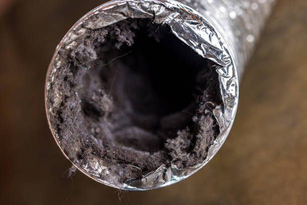 Best Air Duct Cleaning Near Me  in Mead, CO