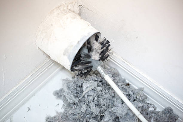 Best HVAC Air Duct Cleaning  in Mead, CO