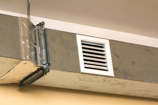 Best Air Duct Cleaning Company Near Me  in Mead, CO